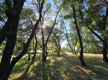 2059  Bell Rd, Auburn, CA 95602 Photo