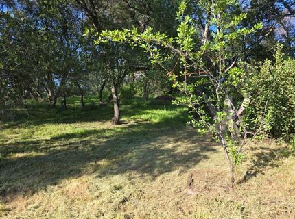 2059  Bell Rd, Auburn, CA 95602 Photo