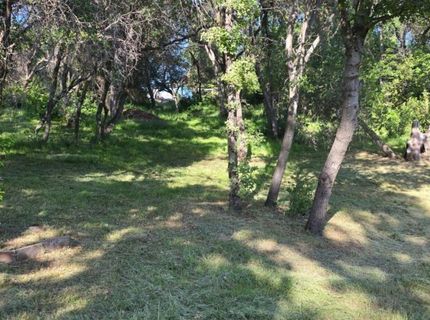2059  Bell Rd, Auburn, CA 95602 Photo