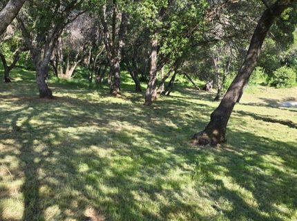 2059  Bell Rd, Auburn, CA 95602 Photo