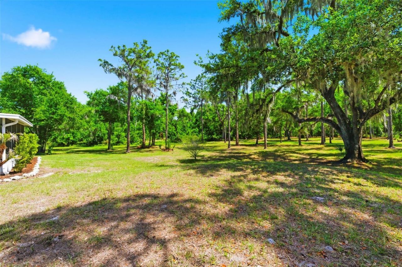 1115 410th Court E, Myakka City, FL 34251 Photo