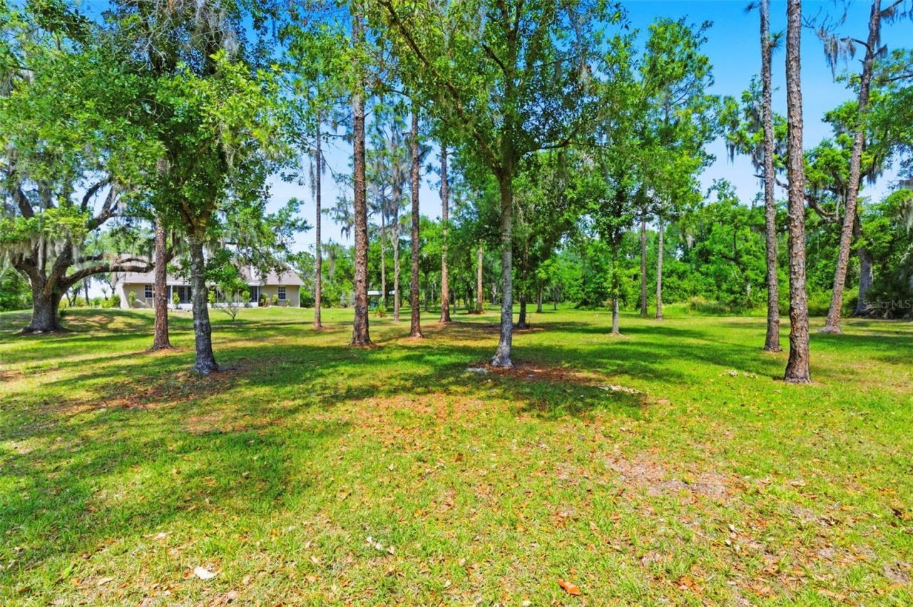 1115 410th Court E, Myakka City, FL 34251 Photo