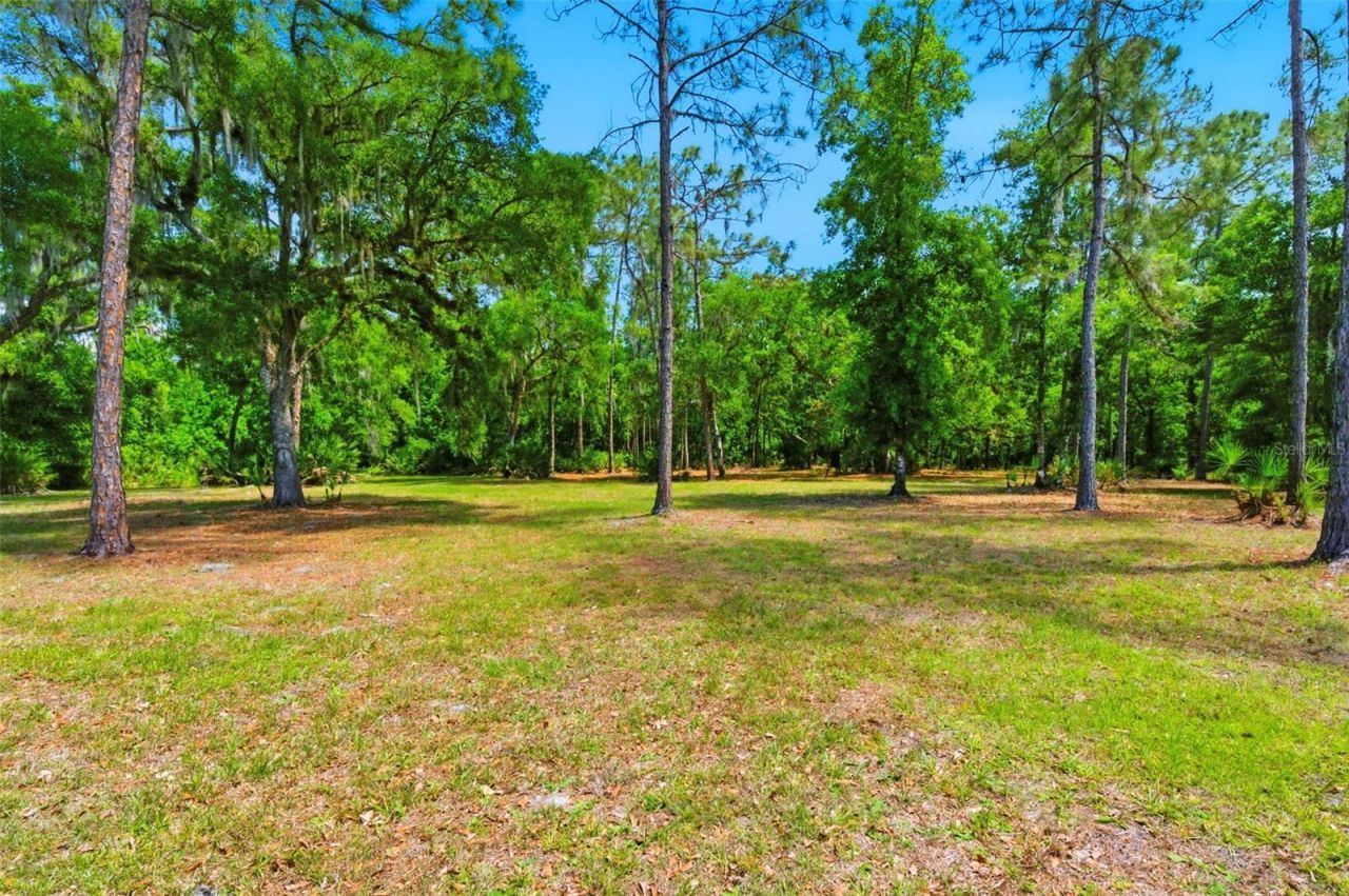 1115 410th Court E, Myakka City, FL 34251 Photo