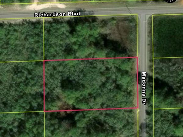 0 MADONNA DR, LOT 2 , WEBSTER, FL 33597
