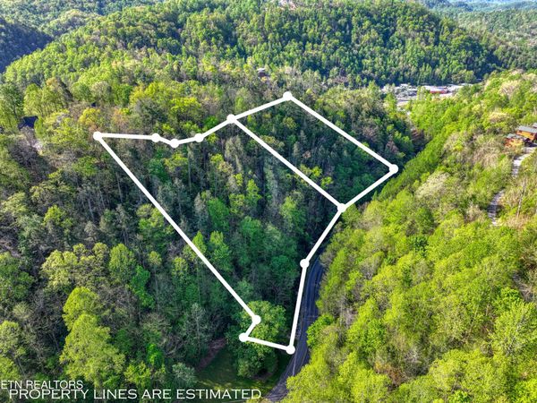 Cartertown Rd, Gatlinburg, TN 37738