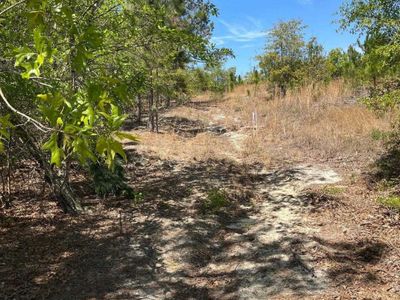 BDF 2 Beaverdam Road , Unit BDF 2, Cassatt, SC 29032