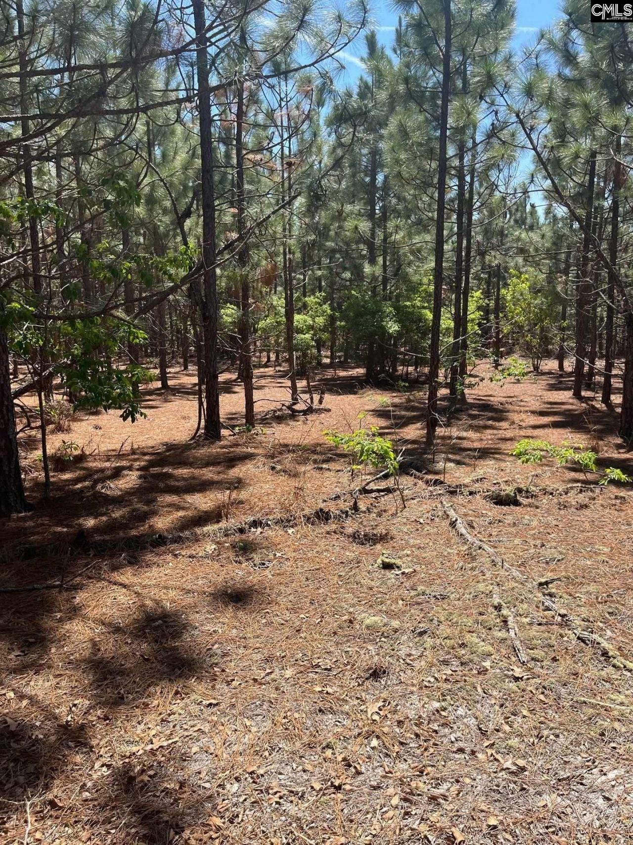 Bdf 2 Beaverdam Road  Photo 8