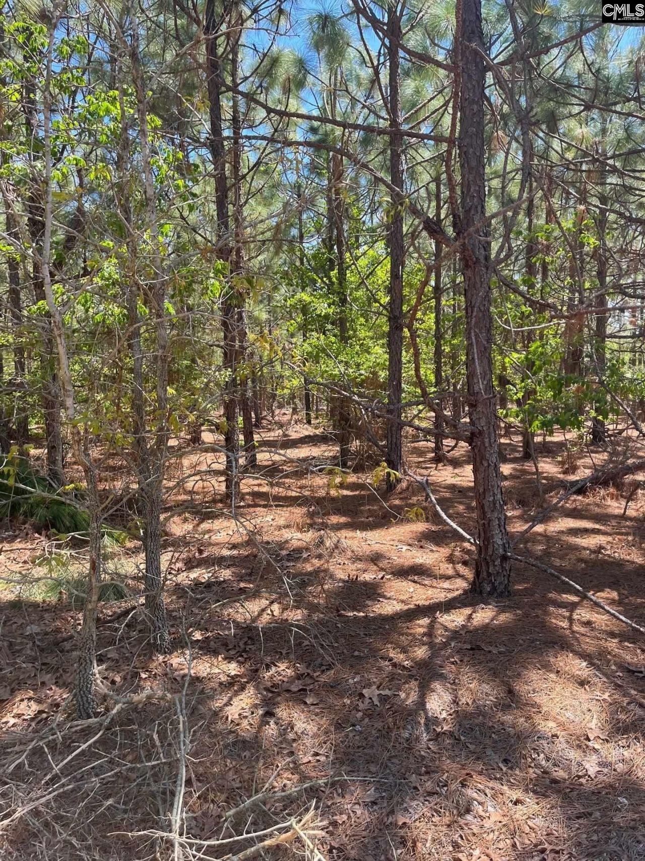 Bdf 2 Beaverdam Road  Photo 9