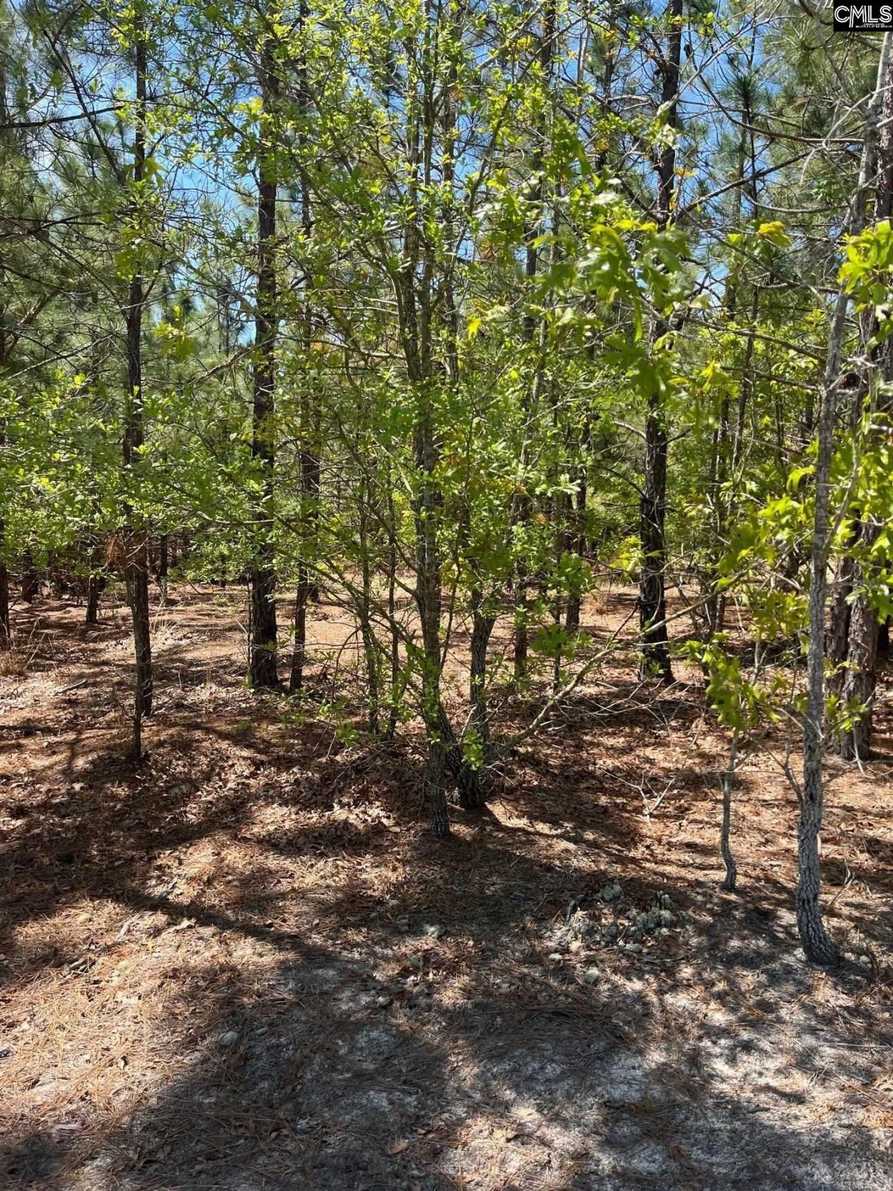 Bdf 2 Beaverdam Road  Photo 4