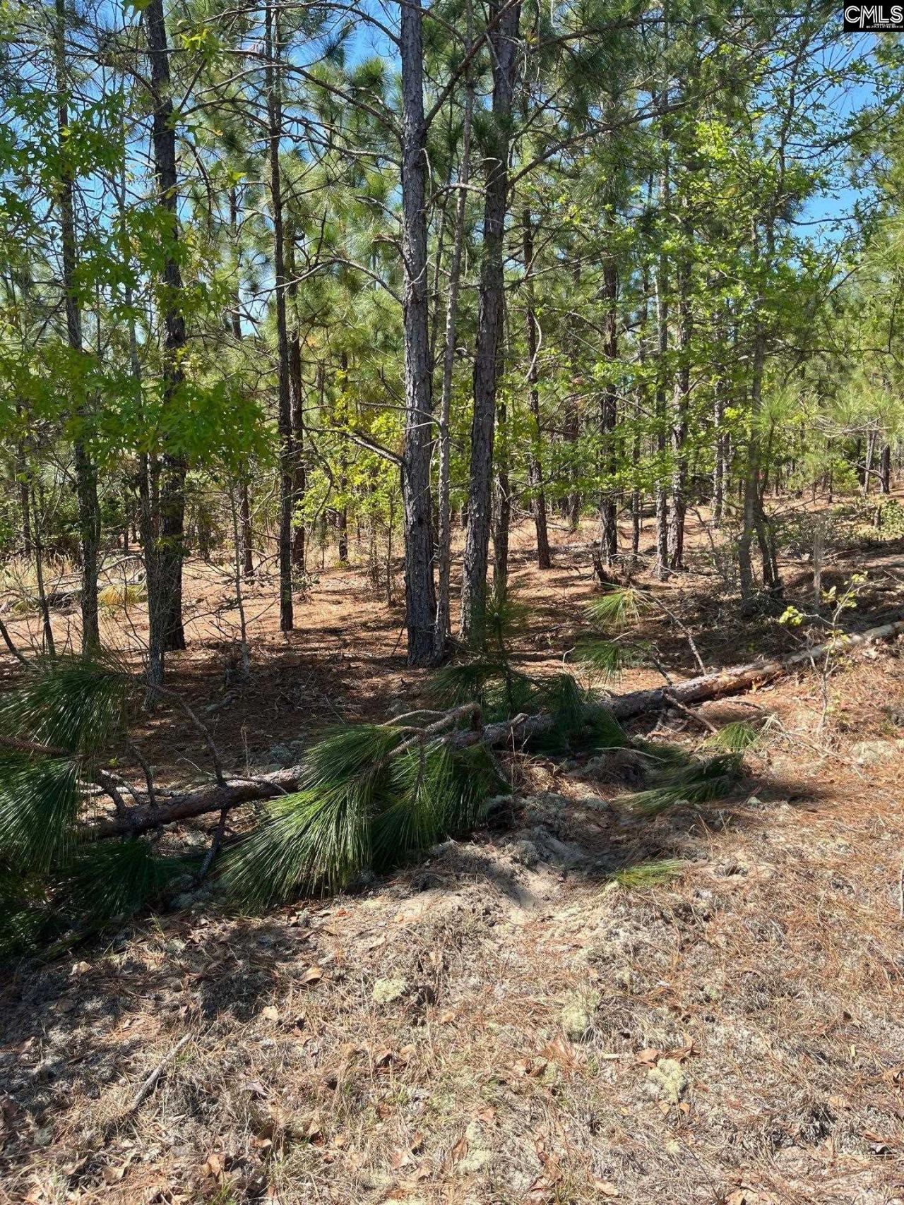 Bdf 2 Beaverdam Road  Photo 4