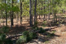 Bdf 2 Beaverdam Road  photo 4