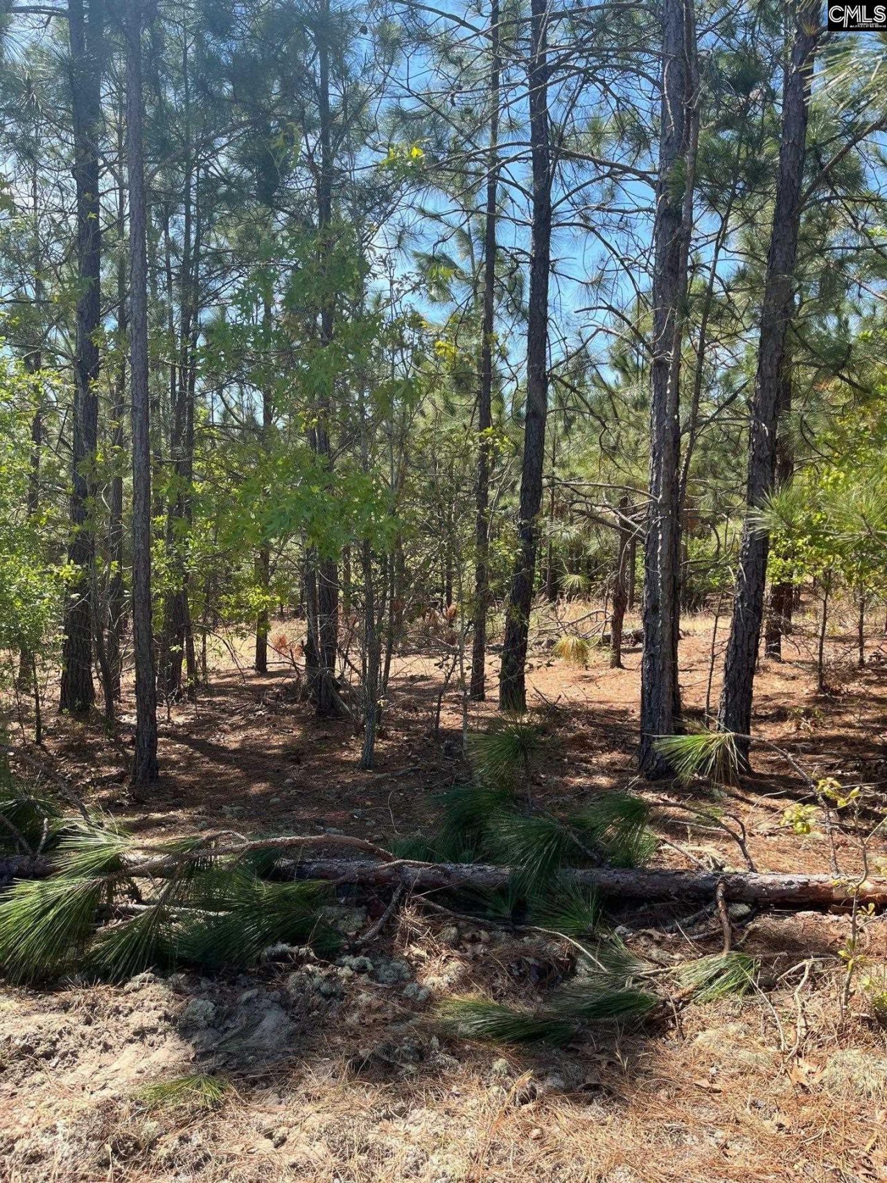 Bdf 2 Beaverdam Road  Photo 5