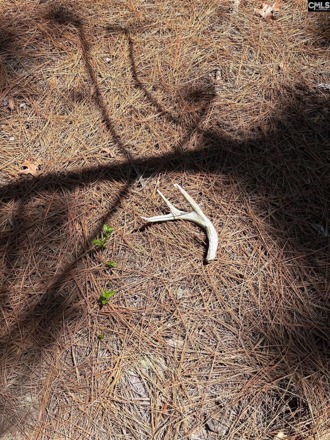 Bdf 2 Beaverdam Road  Photo 6