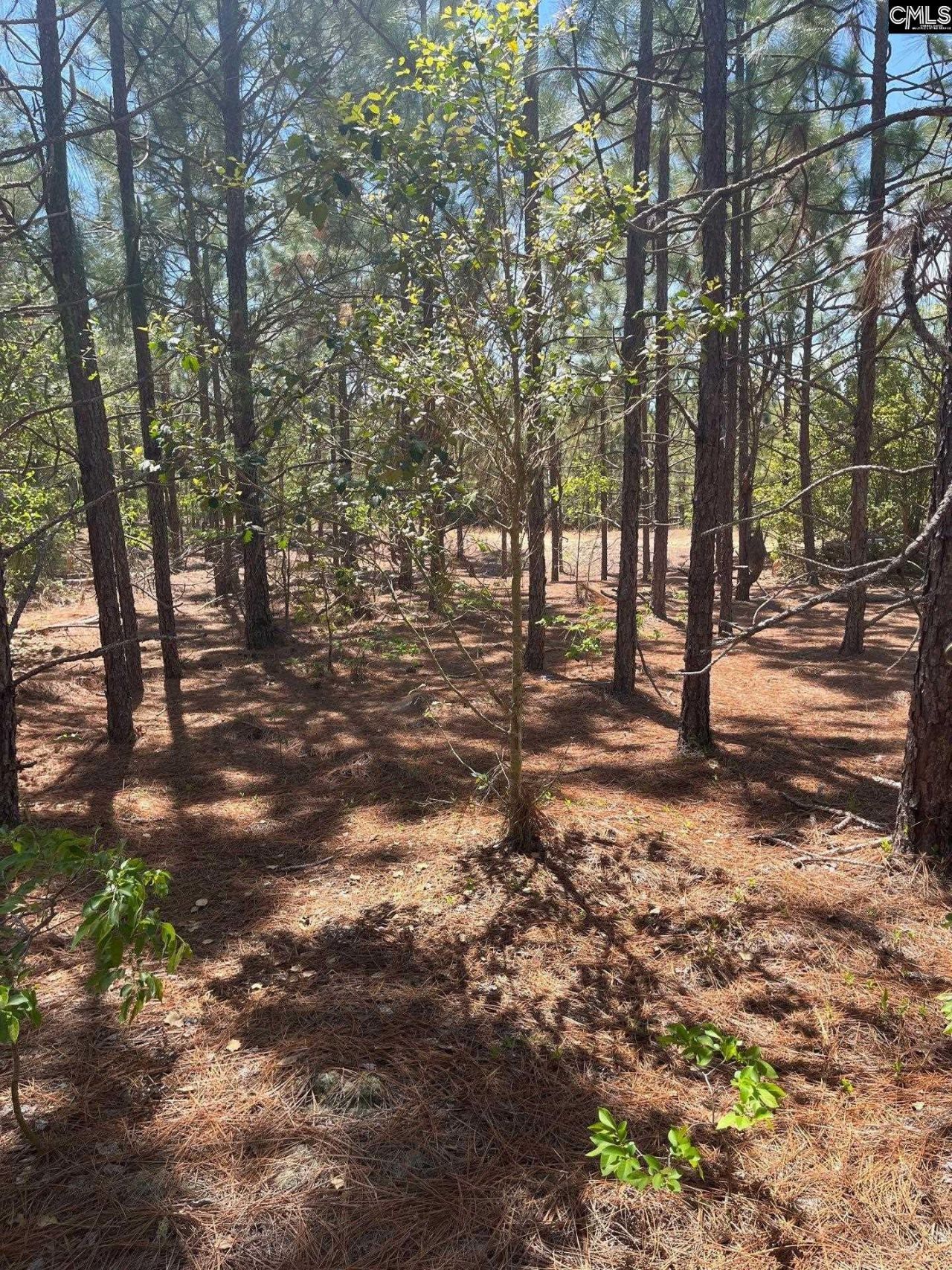 Bdf 2 Beaverdam Road  Photo 7