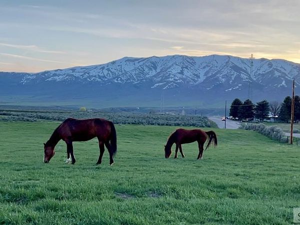 Lot A Jensen Road, MCCAMMON, ID 83250