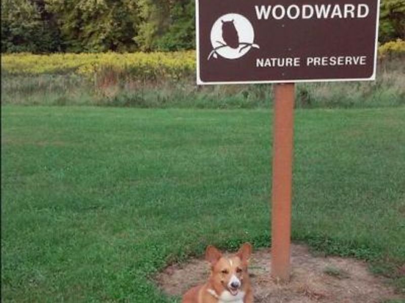 5533 Redwood Road, Columbus, OH 43229 Photo 51