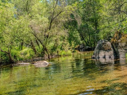 22930 Meadow View Rd, River Pines, CA 95675 Photo