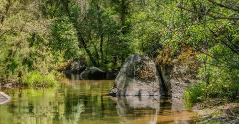 22930 Meadow View Rd, River Pines, CA 95675 Photo