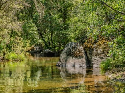 22930 Meadow View Rd, River Pines, CA 95675 Photo