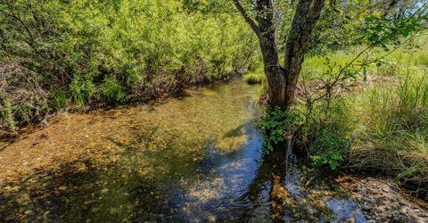 22930 Meadow View Rd, River Pines, CA 95675 Photo