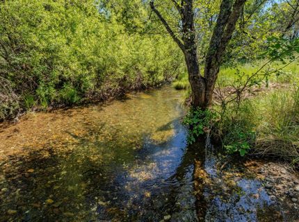22930 Meadow View Rd, River Pines, CA 95675 Photo