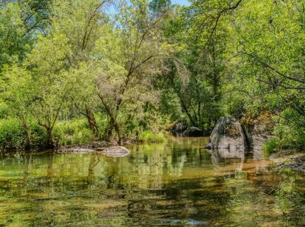 22930 Meadow View Rd, River Pines, CA 95675 Photo