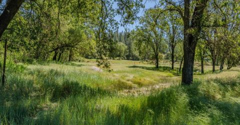 22930 Meadow View Rd, River Pines, CA 95675 Photo