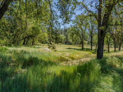 22930 Meadow View Rd, River Pines, CA 95675 Photo