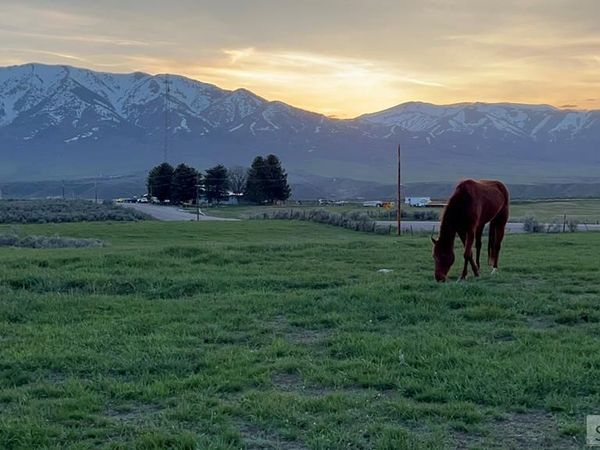 Lot B Jensen Road, MCCAMMON, ID 83250