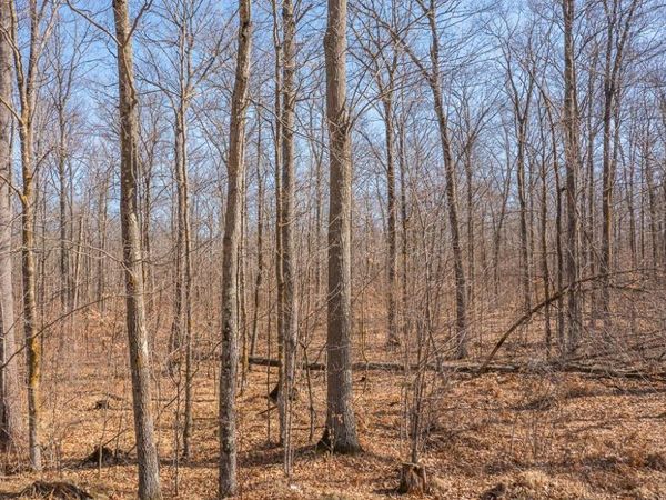 TBD 250th Place , Isle, MN 56342