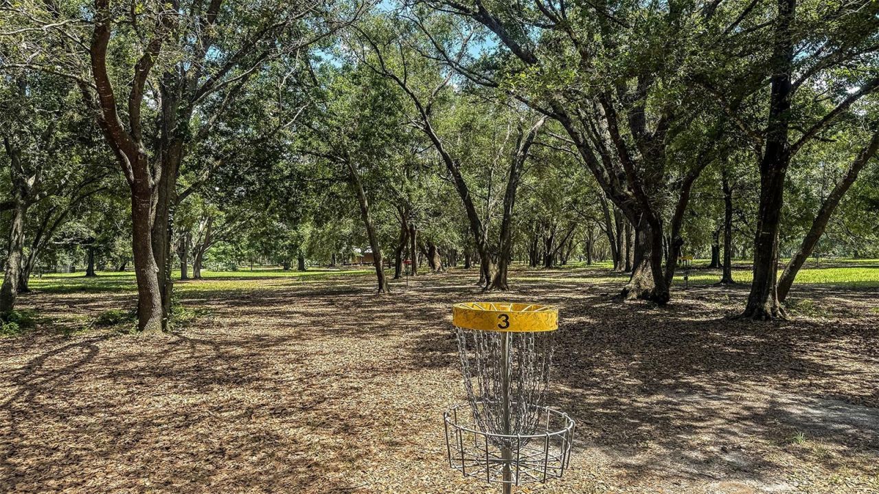 7480 Sandstone Drive , Groveland, FL 34736 Photo