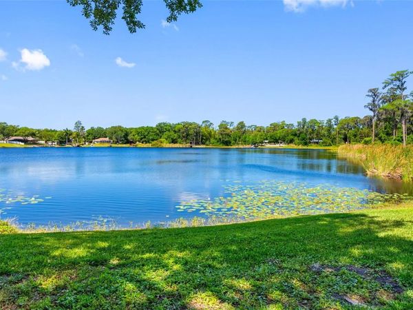 10209 LAKE GROVE DRIVE , ODESSA, FL 33556