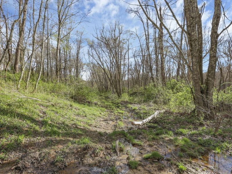 67230 Creek Road , McArthur, OH 45651 Photo 52