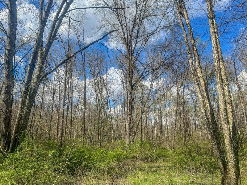 67230 Creek Road , McArthur, OH 45651 Photo 66