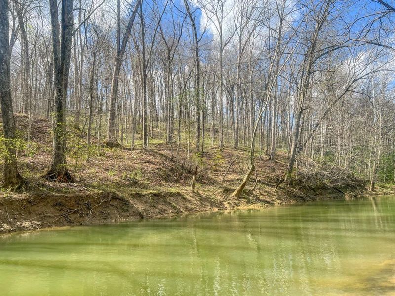 67230 Creek Road , McArthur, OH 45651 Photo 68