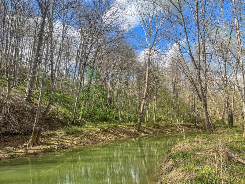 67230 Creek Road , McArthur, OH 45651 Photo 70