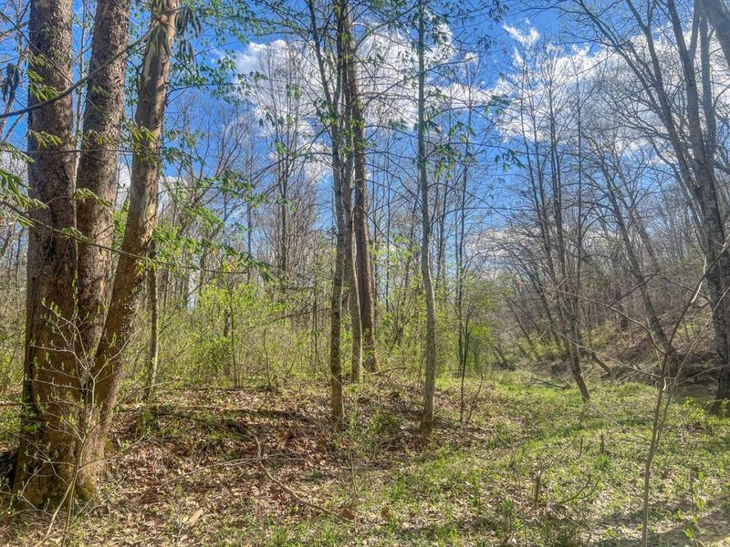 67230 Creek Road , McArthur, OH 45651 Photo 71