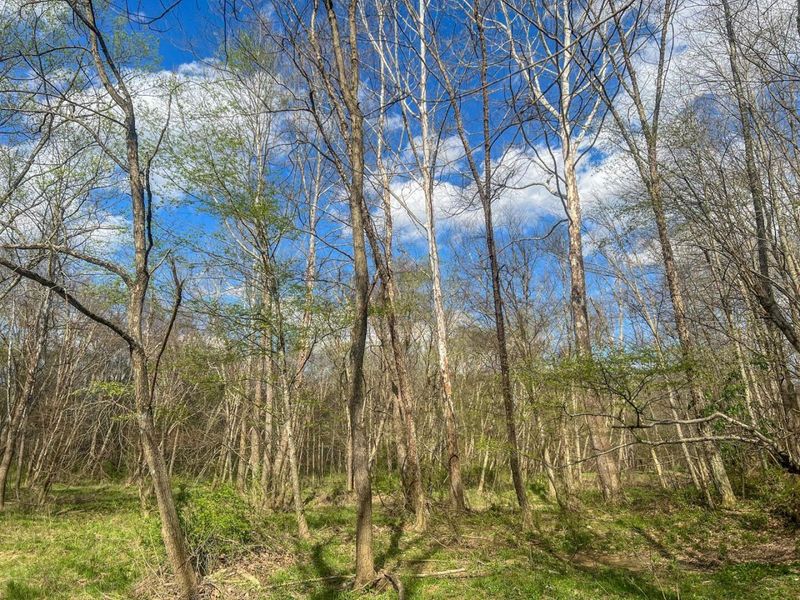 67230 Creek Road , McArthur, OH 45651 Photo 72