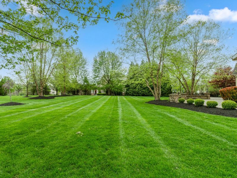 5211 Daryn Court, Powell, OH 43065 Photo 92