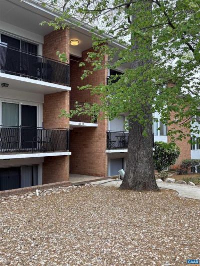 1800 Jefferson Park Ave, Unit 62, Charlottesville, VA 22903 Main Photo