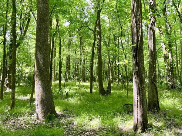 05 La Hwy 74, St Gabriel, LA 70776