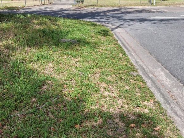 552 NE GURLEY AVENUE , LAKE CITY, FL 32055