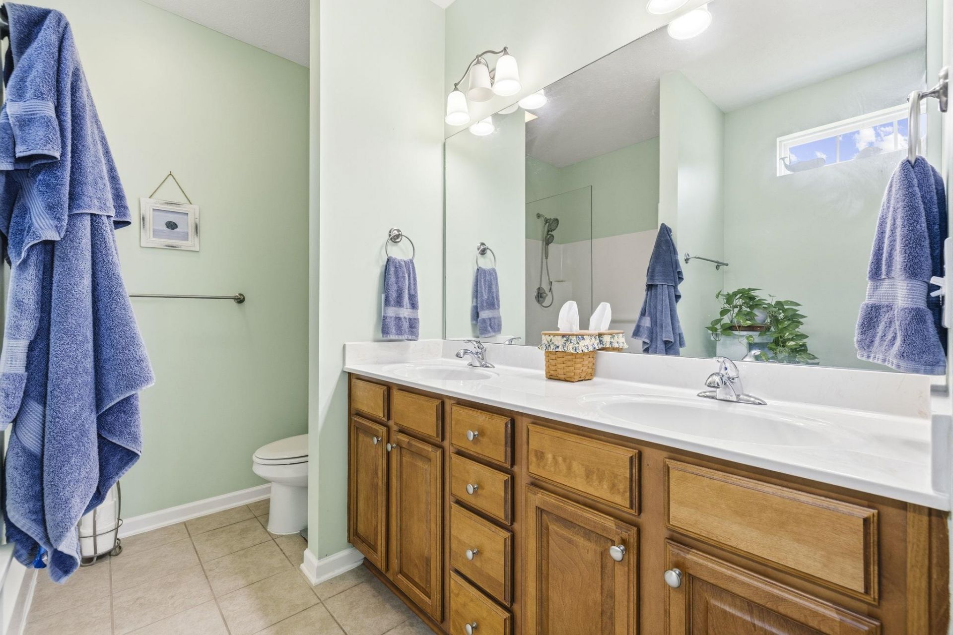 284 Archdale St. Photo 21