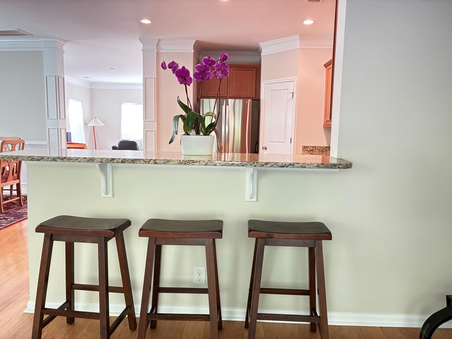 2840 Ortega Drive Photo 12