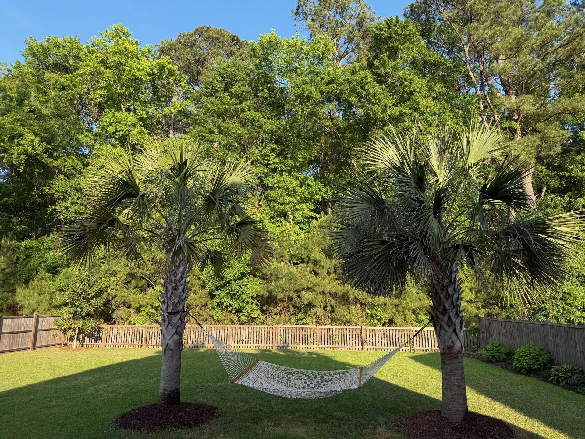 2840 Ortega Drive Photo 29