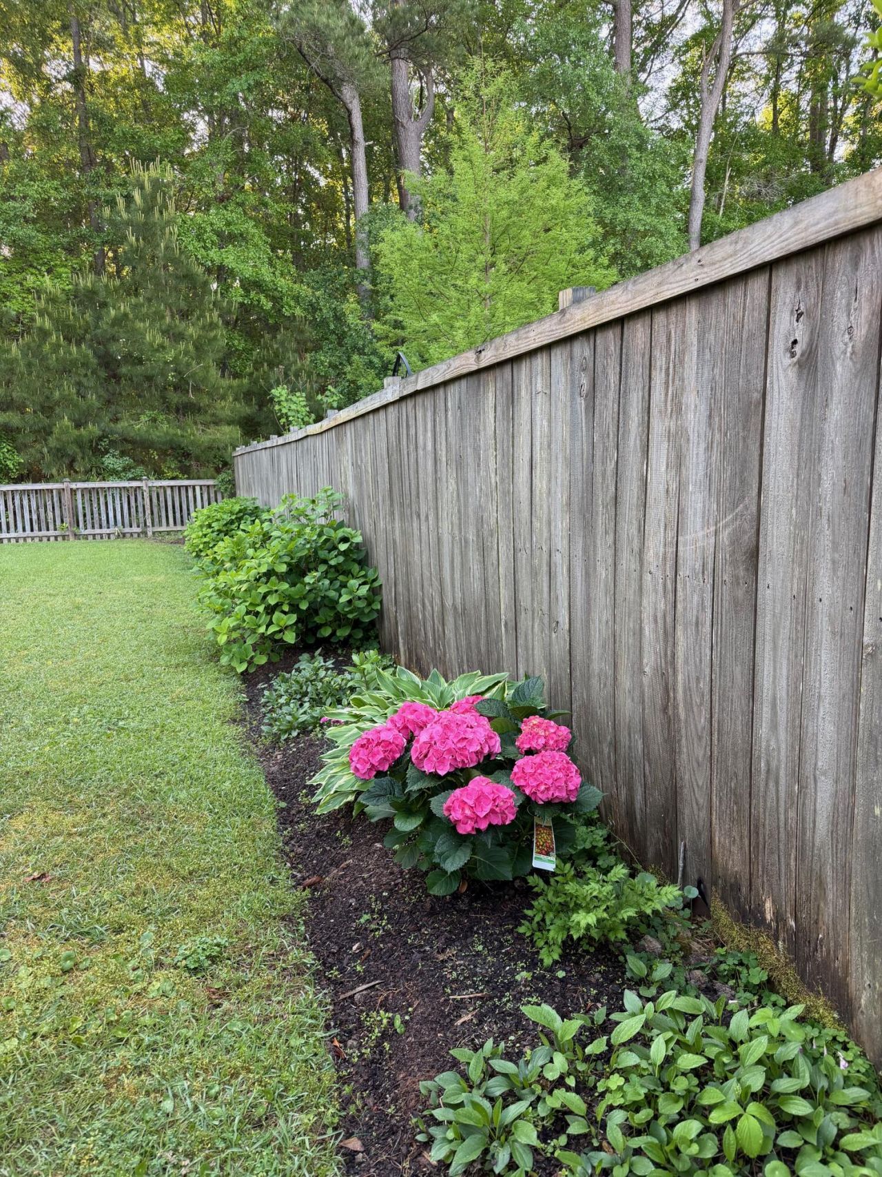 2840 Ortega Drive Photo 31