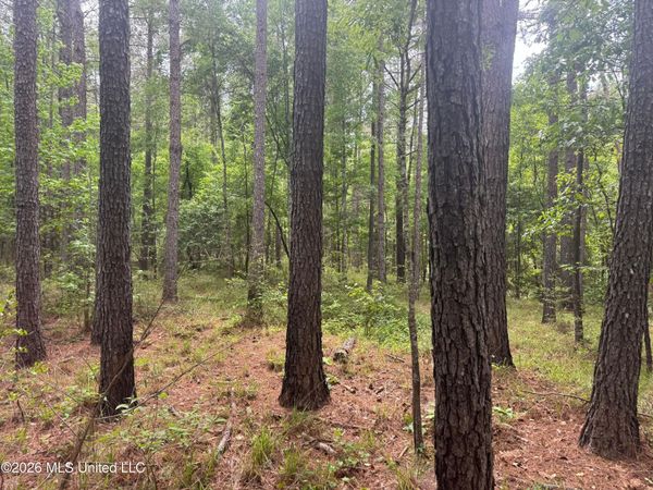 Bushtown Road, Pinola, MS 39149