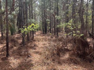 BDF 3 Beaverdam Road , Unit BDF 3, Cassatt, SC 29032