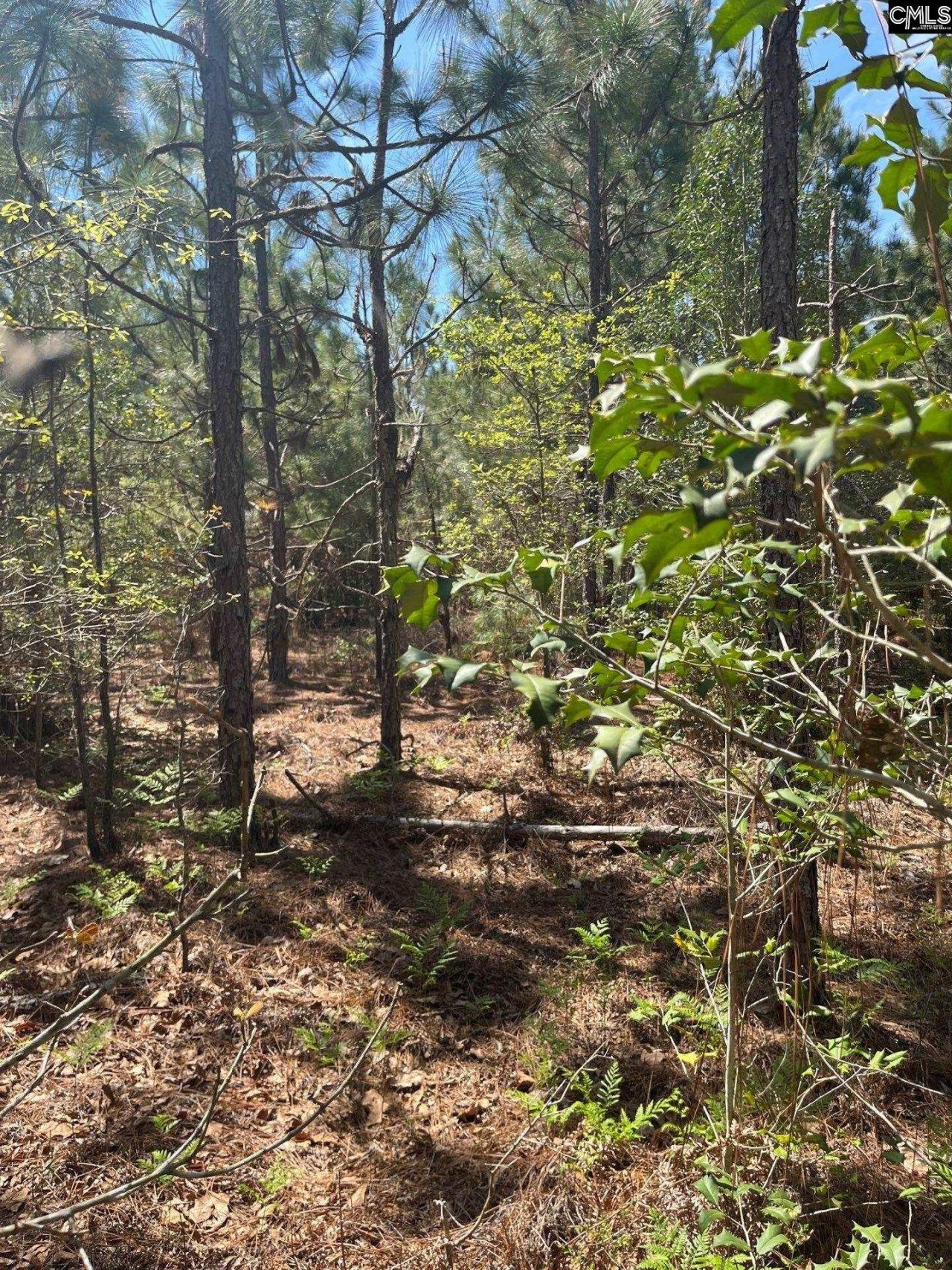 Bdf 3 Beaverdam Road  Photo 9