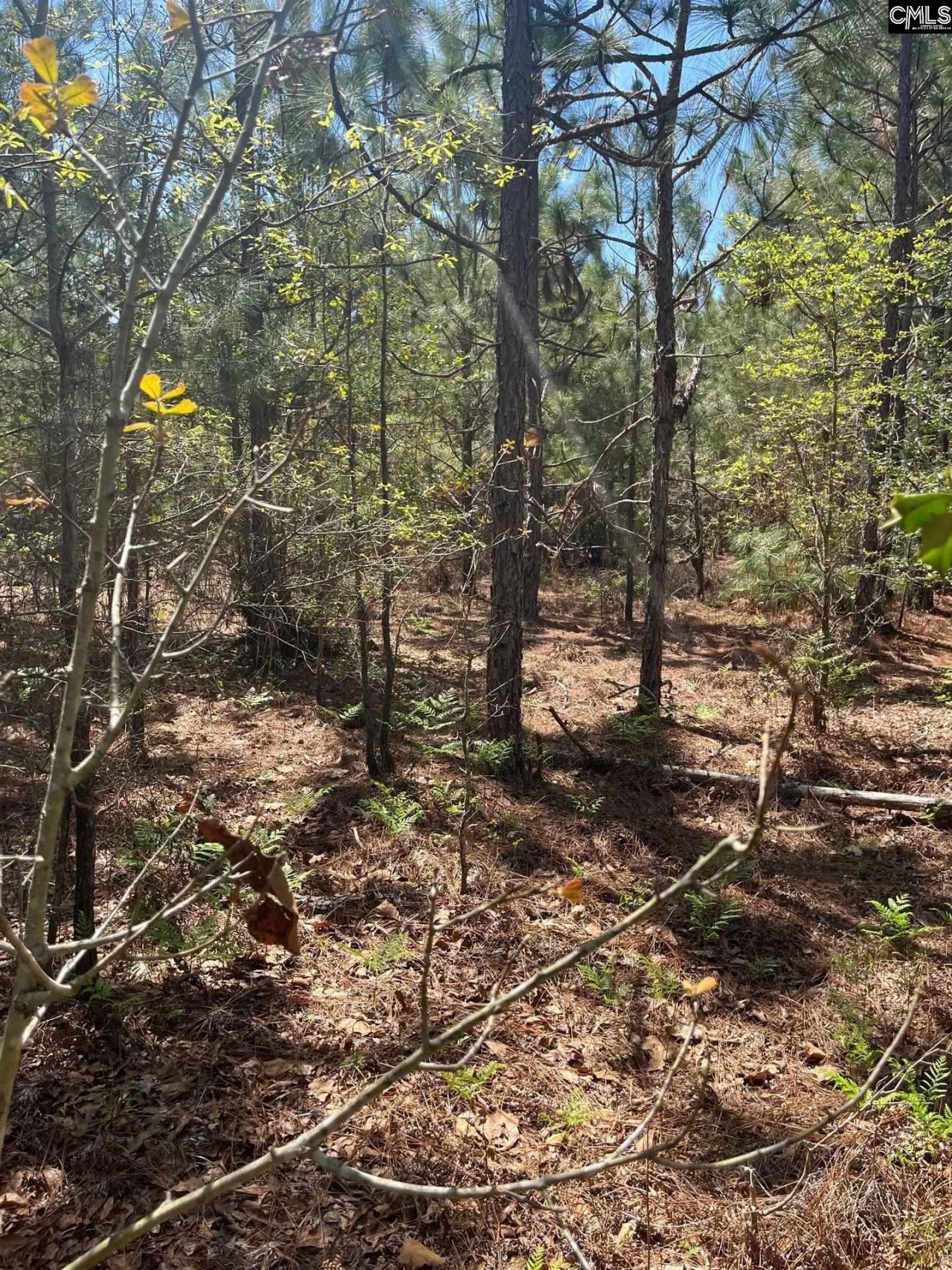 Bdf 3 Beaverdam Road  Photo 10